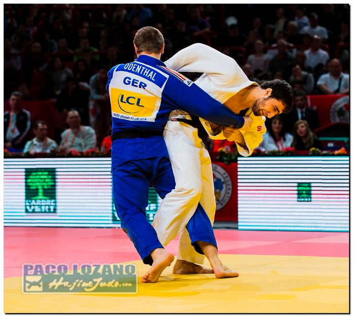 Paris 2014 by P.Lozano cat -90 kg_PLM5220